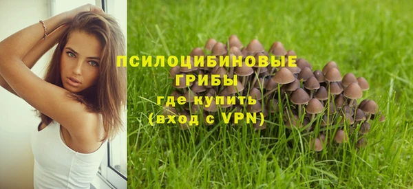 MDMA Premium VHQ Нефтегорск