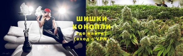 mdpv Новозыбков