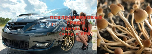 mdma Нефтекумск