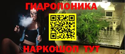 ALPHA PVP Кингисепп