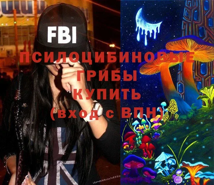 Галлюциногенные грибы Cubensis  Прокопьевск 