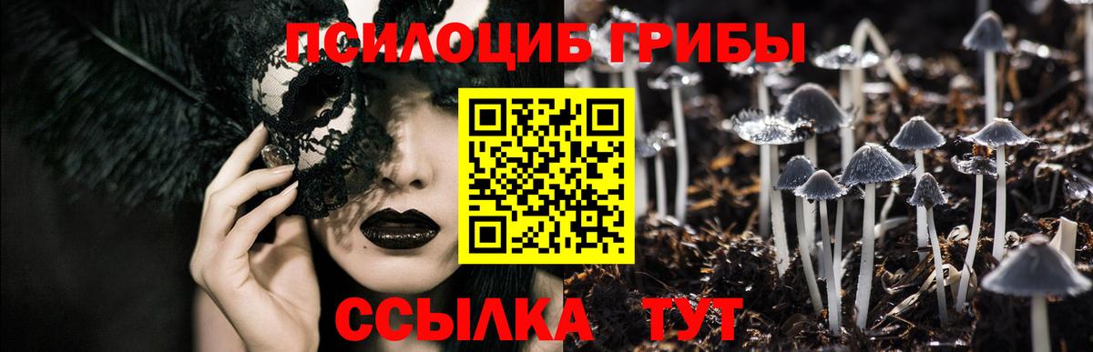 Прокопьевск  Галлюциногенные грибы прущие грибы  Вход с VPN  Псилоцибиновые грибы GOLDEN TEACHER 
