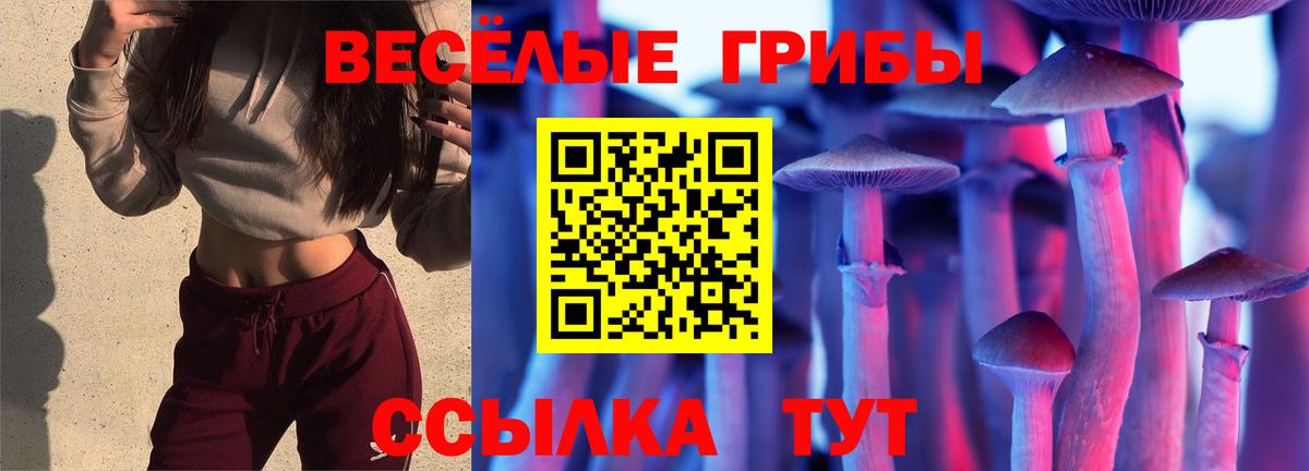 Псилоцибиновые грибы Magic Shrooms Прокопьевск