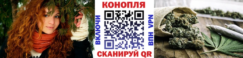 где купить наркоту  Прокопьевск  Конопля конопля 